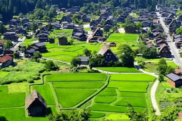 农村如何开展乡村振兴工作?5大疑问词+案例+场景全解析 农村如何开展乡村振兴工作?5大疑问词+案例+场景全解析