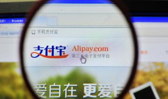 花呗额度提现商家，最高可提10万？揭秘背后真相！