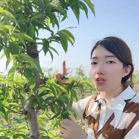 桃多多桃享卡额度不足怎么办?桃多多桃享卡怎么缩小额度,一文全解答! 桃多多桃享卡额度不足怎么办?桃多多桃享卡怎么缩小额度,一文全解答!