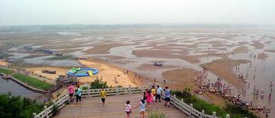 沙湾景点热门排行榜图片，最新排名+实用攻略（附免费下载链接）