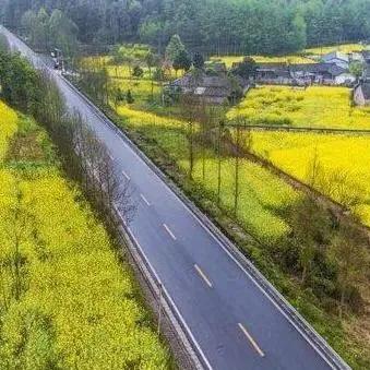 如何做好优美乡村建设工作?这份实用指南与案例分析请收好 如何做好优美乡村建设工作?这份实用指南与案例分析请收好