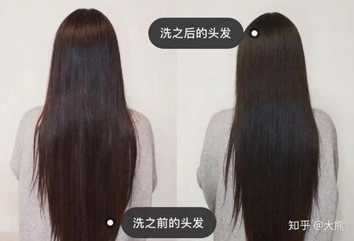 好用的打磨陶瓷头发品牌 好用的打磨陶瓷头发品牌