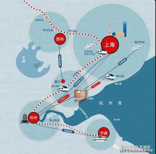 真的鸭绒被价格全解析，从选购技巧到应用场景的实用指南