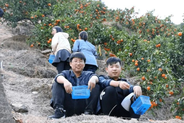 青年干部如何促进乡村振兴?5大疑问解答+实战案例+应用场景全解析 青年干部如何促进乡村振兴?5大疑问解答+实战案例+应用场景全解析