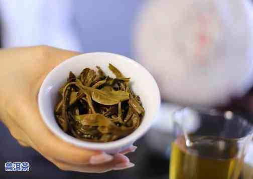 2023哪个品牌茶叶好喝点?六大茶类推荐+选购指南 2023哪个品牌茶叶好喝点?六大茶类推荐+选购指南