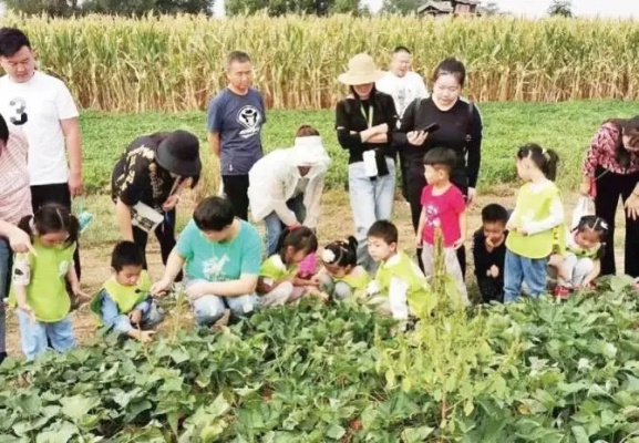 幼师如何助力乡村振兴?5大疑问+实战案例+应用场景全解析 幼师如何助力乡村振兴?5大疑问+实战案例+应用场景全解析