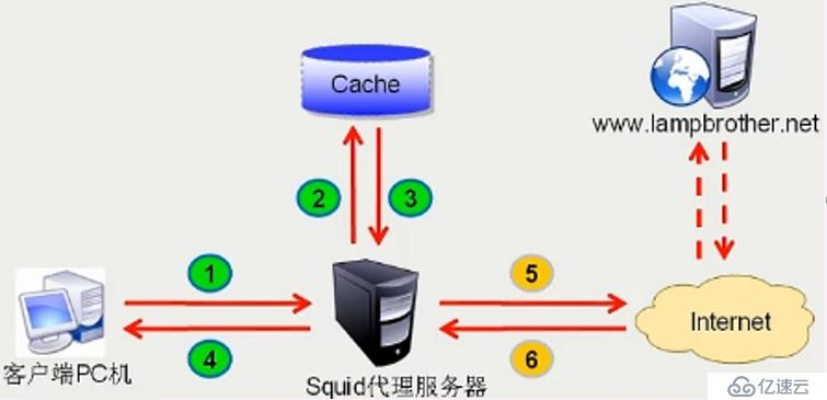 代理服务器如何物理连接？5大关键步骤+实战案例全解析（附常见问题解答）