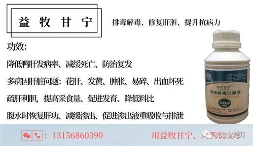 揭秘倒闭的医药品牌，原因、影响与未来展望