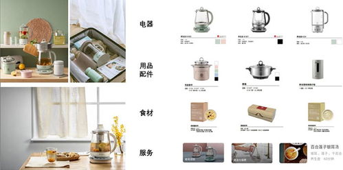 为什么荷兰小家电品牌值得你关注？——从设计到生活的全方位解析