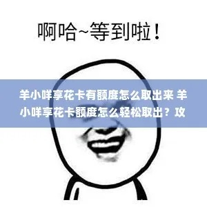 羊小咩享花卡额度兑现难？额度突然归零怎么办？全方位解析与解决方案
