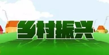 如何有效推进乡村振兴，政策解读+成功案例+实操指南