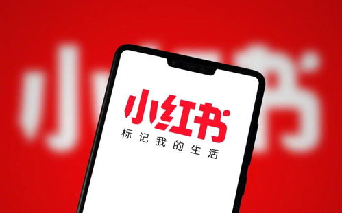 小红书先用后付额度提现商家，如何轻松获取额度券？
