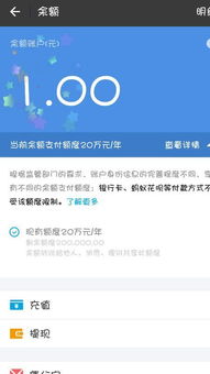小红书先用后付额度提现商家攻略，如何轻松获得高额度？附详细指南！