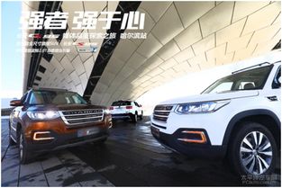 探索哈尔滨汽车品牌,冰城最受欢迎的车型和品牌 探索哈尔滨汽车品牌,冰城最受欢迎的车型和品牌