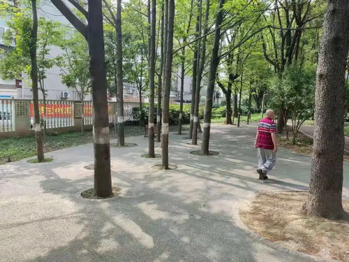 德国国民医药品牌,健康守护的秘诀 德国国民医药品牌,健康守护的秘诀