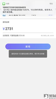 小红书先用后付额度提现商家指南,如何轻松获取并使用额度卷? 小红书先用后付额度提现商家指南,如何轻松获取并使用额度卷?