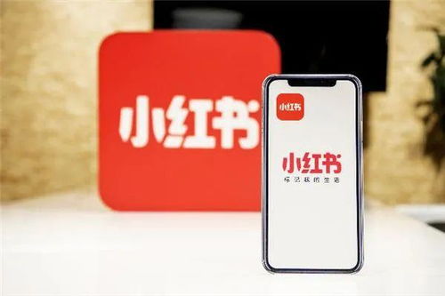 小红书先用后付额度全攻略，商家必看！轻松提现与额度提升秘籍