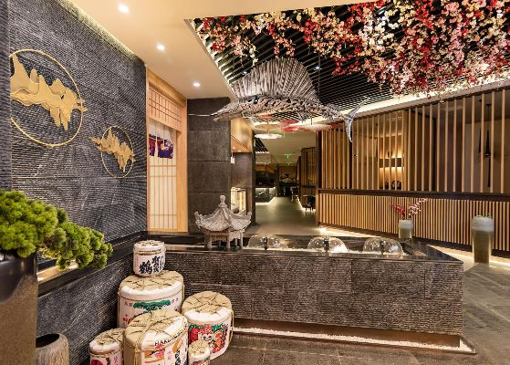 梅花餐饮品牌定位，打造高雅餐饮体验的终极指南