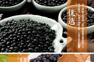 阜新黑豆面厂家电话大揭秘，从源头到餐桌的美味之旅