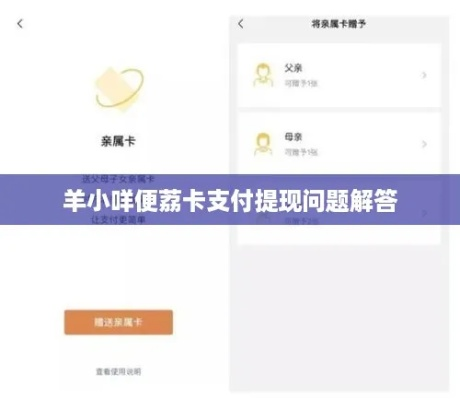 羊小咩便荔卡额度调整全攻略，额度兑现与支付额度修改详解