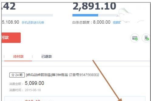 羊小咩便荔卡额度调整全攻略，从基础操作到提升技巧，一文搞定！