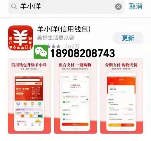 羊小咩便荔卡额度调整全攻略，从基础操作到提升技巧，一文搞定！