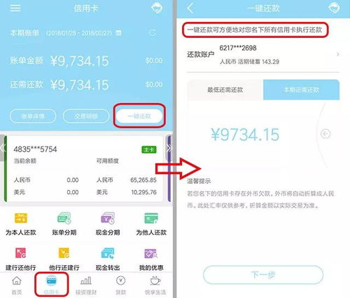 羊小咩便荔卡额度调整全攻略，从基础操作到提升技巧，一文搞定！