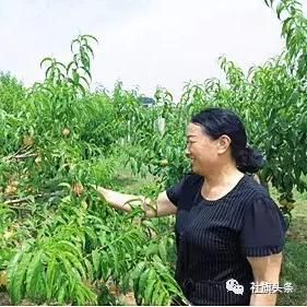 桃多多桃享卡额度兑现难题,为什么你的桃享卡没有额度?全方位解析与解决方案 桃多多桃享卡额度兑现难题,为什么你的桃享卡没有额度?全方位解析与解决方案