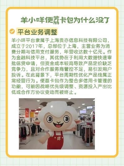 羊小咩便荔卡额度调整全攻略，从使用到提升的全方位指南