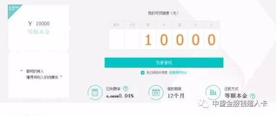 羊小咩便荔卡额度兑现攻略，额度分享技巧与实用场景全解析