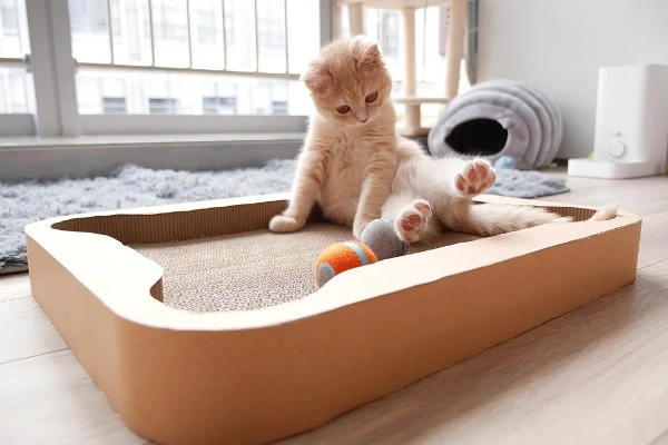 猫咪防潮玩具品牌推荐及选购指南，防潮材质、适用场景与真实用户反馈