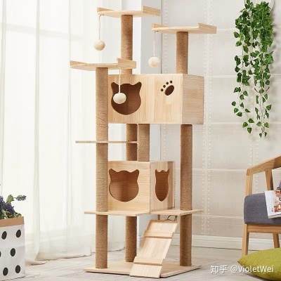猫咪防潮玩具品牌推荐及选购指南，防潮材质、适用场景与真实用户反馈