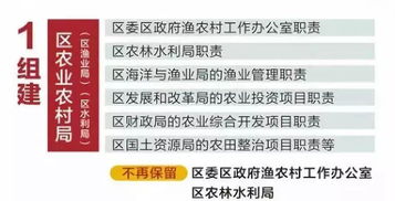 温州景点热销排行榜最新出炉！这些必打卡景点你打卡了吗？