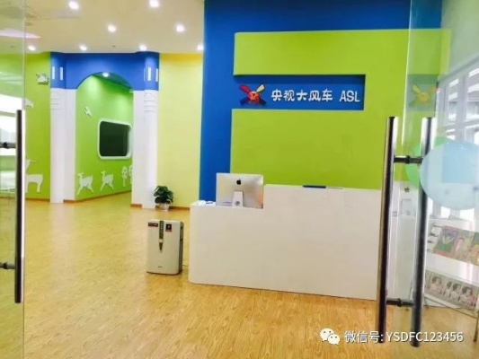 中视大风车早教中心加盟，开启儿童教育新纪元