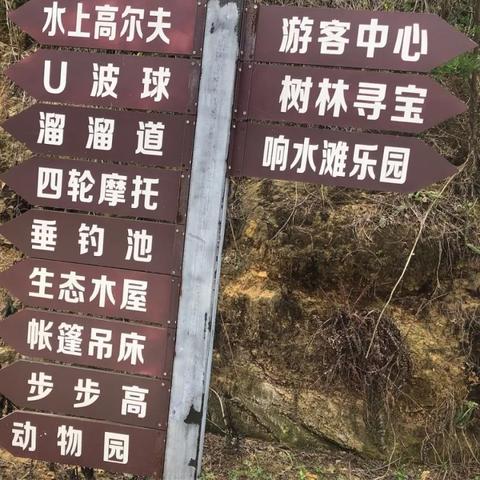 桃多多桃享卡额度怎么提升？额度兑现全攻略
