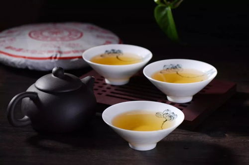 轻奢茶叶品牌有哪些好？2024年高性价比推荐+选购技巧全解析