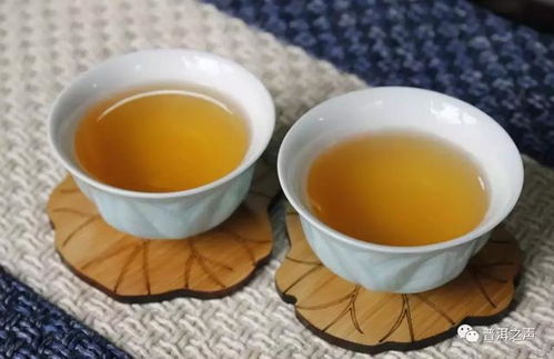 轻奢茶叶品牌有哪些好？2024年高性价比推荐+选购技巧全解析