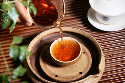 轻奢茶叶品牌有哪些好？2024年高性价比推荐+选购技巧全解析