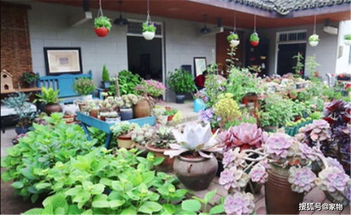 老品牌花卉租赁商家电话怎么找？附真实案例和应用场景
