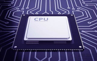 2023物理服务器和云资源全解析，从基础概念到实战应用指南