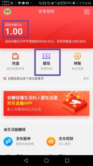 小红书先用后付额度提现商家,如何申请、使用与还款全解析 小红书先用后付额度提现商家,如何申请、使用与还款全解析