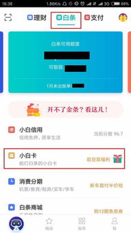 桃多多桃享卡额度兑现详解，如何利用固定额度进行消费？