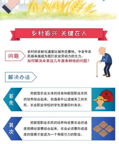 乡村干部如何遵守纪律？5大原则+3个案例+常见问题解答（附应用场景）
