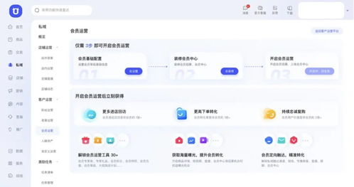 小红书先用后付额度,商家如何高效管理与提现? 小红书先用后付额度,商家如何高效管理与提现?