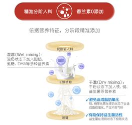 西班牙母婴品牌学校排名，如何挑选最适合您的育儿产品？