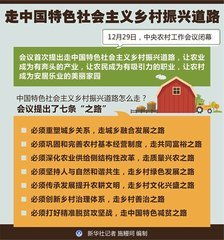 如何走中国特色乡村振兴之路PPT制作指南，疑问词解析+案例+应用场景全攻略