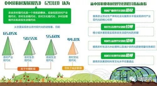 如何走中国特色乡村振兴之路PPT制作指南，疑问词解析+案例+应用场景全攻略