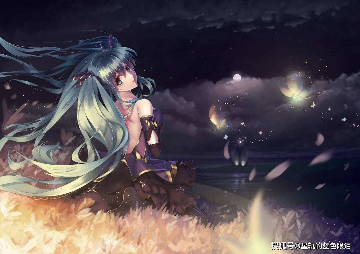 1202星座,1202号是什么星座