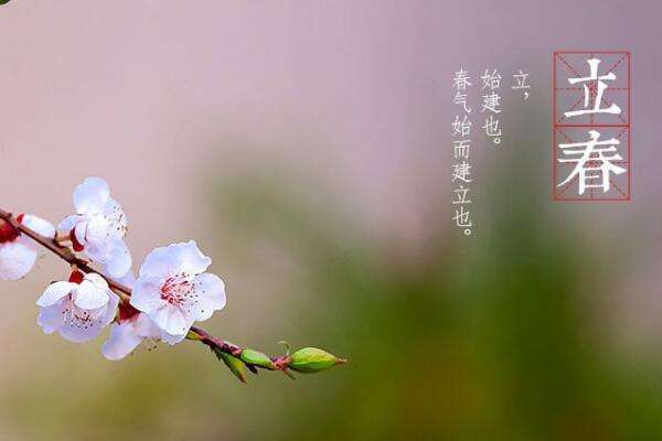生肖按照春节还是立春,十二生肖按春节还是立春