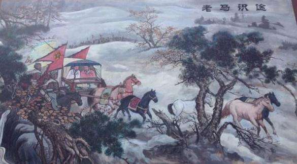 野马重飞天打一生肖,野马分鬃打一动物生肖